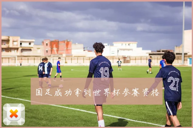 国足成功拿到世界杯参赛资格
