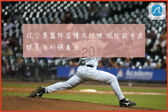 辽宁男篮阵容情况梳理 现阶段可用球员与补强看点