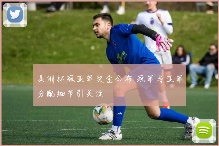 美洲杯冠亚军奖金公布 冠军与亚军分配细节引关注