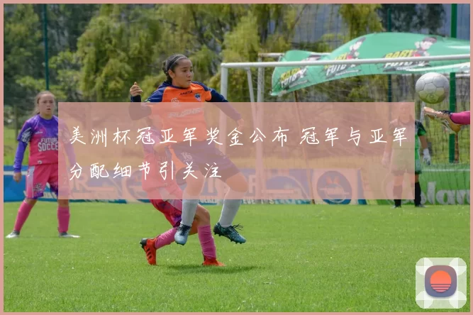 美洲杯冠亚军奖金公布 冠军与亚军分配细节引关注